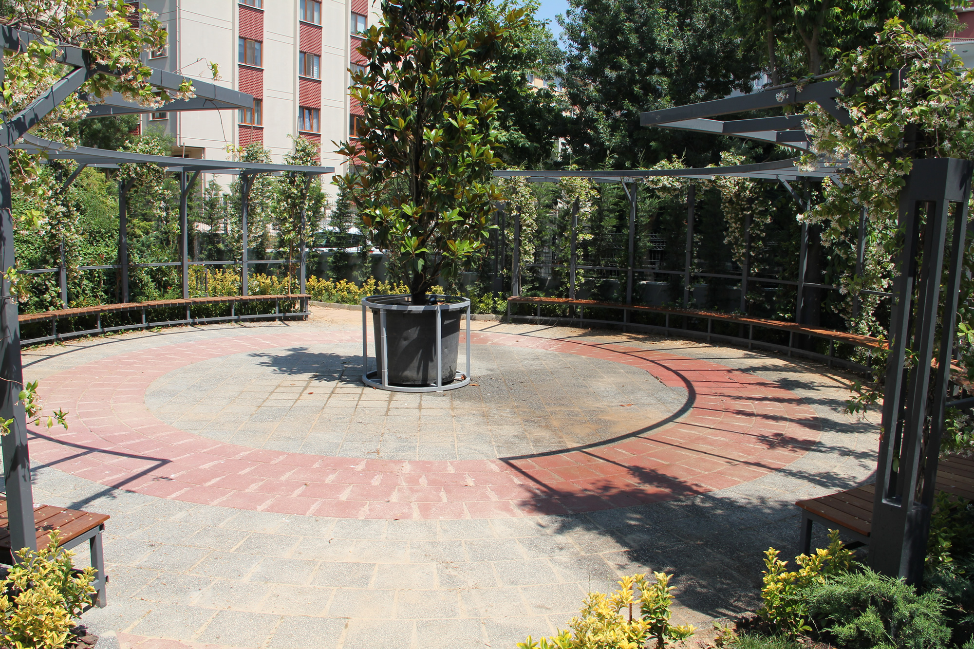 Kartallife Atalar