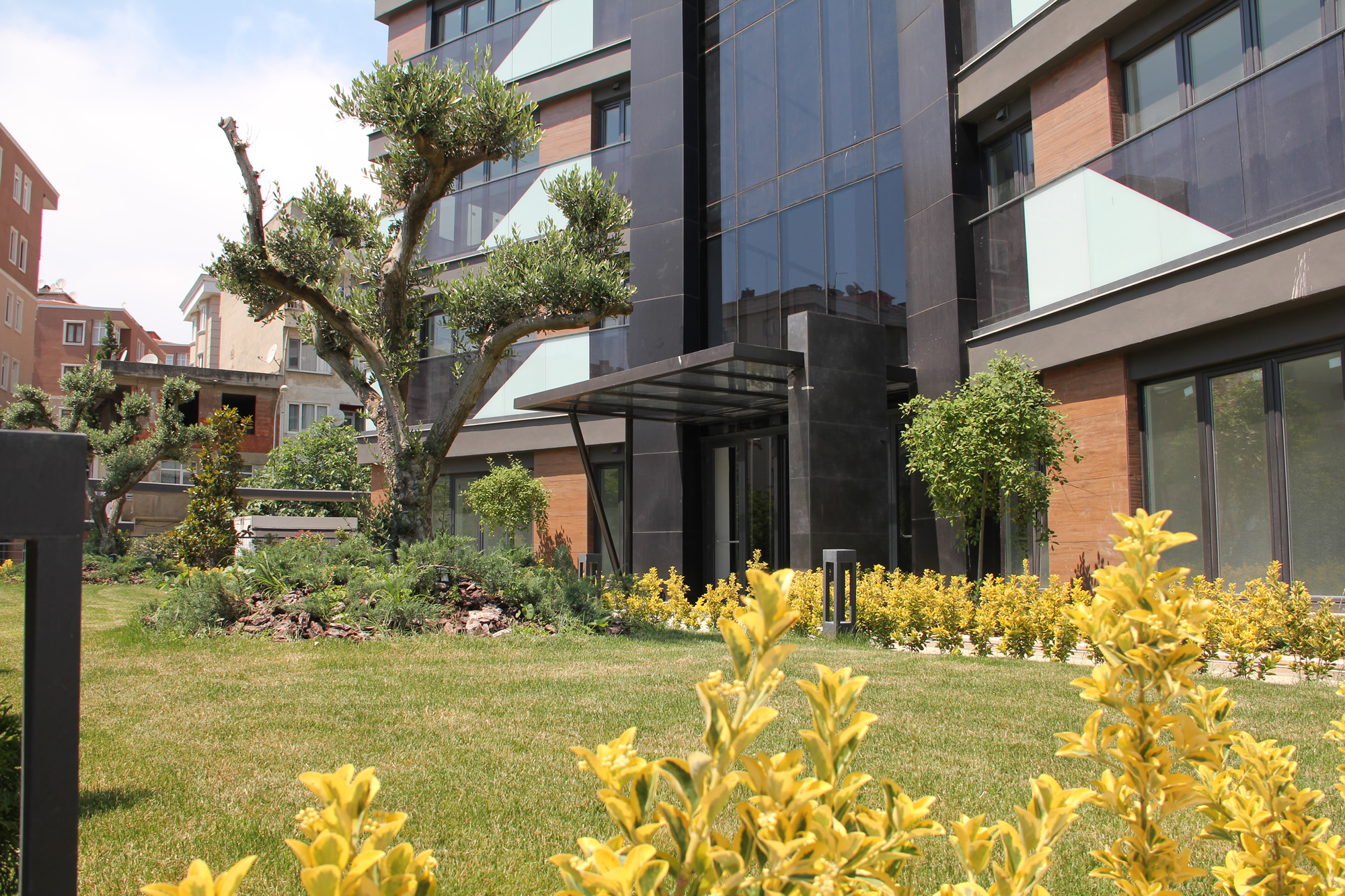 Kartallife Atalar
