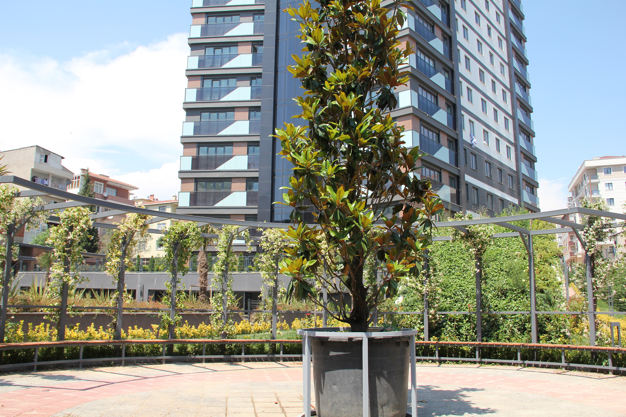 Kartallife Atalar