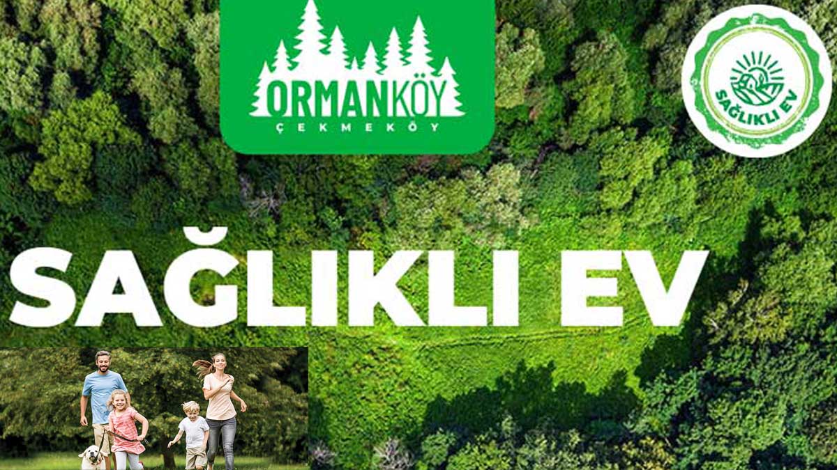DAP Ormanköy